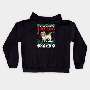 Christmas Dog Eating Snacks Kids Hoodie